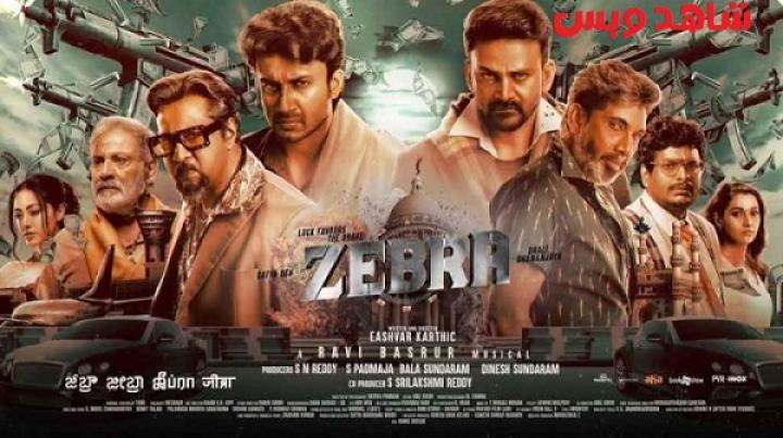 مشاهدة فيلم Zebra 2024 مترجم