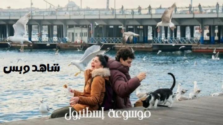 مسلسل موسوعة اسطنبول الحلقة 3 الثالثة مدبلج